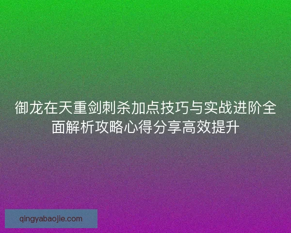 御龙在天重剑刺杀加点技巧与实战进阶全面解析攻略心得分享高效提升