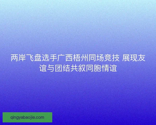 两岸飞盘选手广西梧州同场竞技 展现友谊与团结共叙同胞情谊